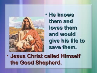 • He knows
them and
loves them
and would
give his life to
save them.
• Jesus Christ called Himself
the Good Shepherd.

 