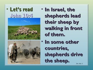 • Let’s read
John 10:4

• In Israel, the
shepherds lead
their sheep by
walking in front
of them.
• In some other
countries,
shepherds drive
the sheep.
Enr. Act. 1

 