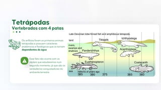 Os anfíbios foram os primeiros animais
tetrápodas e possuem caracteres
anatômicos e fisiológicos que os tornam
dependentes da água
Esse fato não ocorre com os
répteis que estudaremos num
segundo momento, já que são os
verdadeiros conquistadores do
ambiente terrestre
 