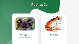 Internas ou externas
 