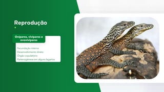 Fecundação interna
Desenvolvimento direto
Órgão copulatório
Partenogênese em alguns lagartos
Ovíparos, vivíparos e
ovovivíparos
 
