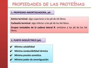 1. PROPIEDAD AMORTIGUADORA, pK:
Amino terminal: algo superiores a los pK de AA libres.
Carboxilo terminal: algo inferior a los pK de los AA libres.
Grupos ionizables de la cadena lateral R: similares a los pK de los AA
libres.
2. PUNTO ISOELÉCTRICO (pI):
✔ Mínima solubilidad
✔ Mínima conductibilidad térmica
✔ Mínima presión osmótica
✔ Mínimo poder de amortiguación
PROPIEDADES DE LAS PROTEÍNAS
 