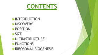 CONTENTS
INTRODUCTION
DISCOVERY
POSITION
SIZE
ULTRASTRUCTURE
FUNCTIONS
RIBOSOMAL BIOGENESIS
 