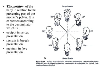 • The position: of the
baby in relation to the
presenting part of the
mother’s pelvis. It is
expressed according
to the denominator
which is :
• occiput in vertex
presentation
• sacrum in breech
presentation
• mentum in face
presentation
 