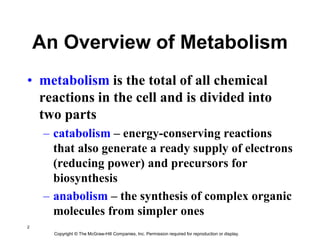 7. Introduction to Metabolism (Prescott) .ppt