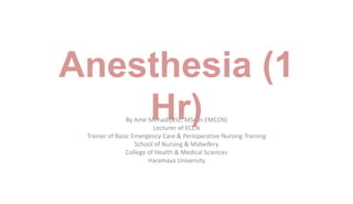 Anesthesia (1
Hr)
By Ame Mehadi(BSc, MSc in EMCCN)
Lecturer of ECCN
Trainer of Basic Emergency Care & Perioperative Nursing Training
School of Nursing & Midwifery
College of Health & Medical Sciences
Haramaya University
 