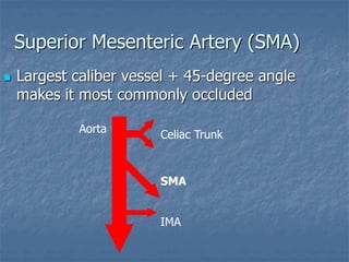 Superior Mesenteric Artery (SMA)
 Largest caliber vessel + 45-degree angle
makes it most commonly occluded
Celiac Trunk
IMA
SMA
Aorta
 