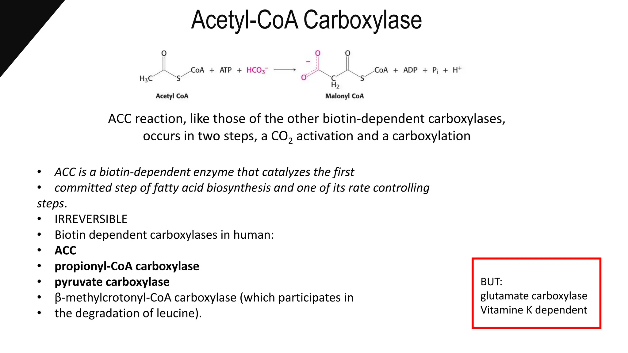 Lipid Biosynthesis - Metabolism of Lipids | PPTX