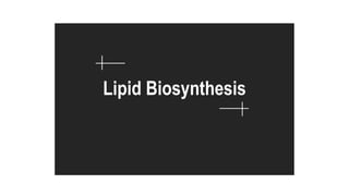 Lipid Biosynthesis
 