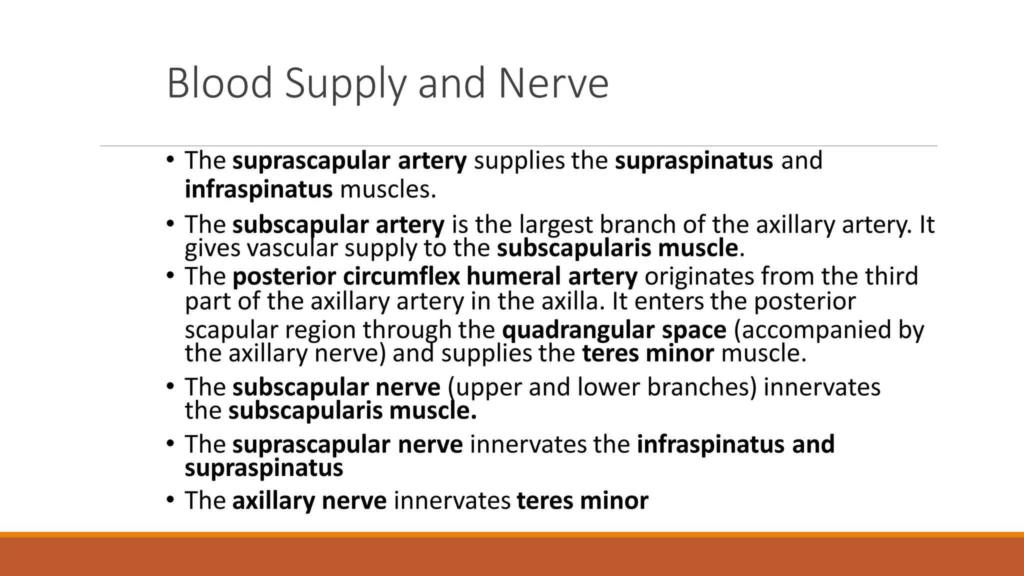 7. Rotator Cuff Injury Musculoskeletal.pptx