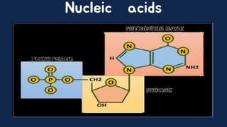 Exploring the Structure and Function of Biological Molecules.pdf