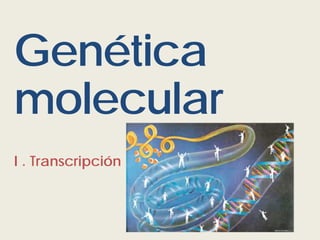 Genética
molecular
I . Transcripción
 