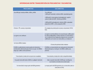 PROCARIOTAS EUCARIOTAS
Una ARN pol: sintetiza ARNm, ARNr y ARNt Tres ARN pol:
• ARN pol I (nucleolo): sintetiza ARNr subunidad grande
• ARN pol II o transcriptasa (nucleoplasma): copia la
cadena molde del ADN. Sintetiza preARNm
• ARN pol III (nucleoplasma): sintetiza ARNt, subunidad
pequeña de ARNr y otros pequeños ARN
El factor reconoce el promotor El complejo de preiniciación reconoce el promotor (TATA
box)
Los genes son continuos
Los genes son discontinuos: la secuencia que codifica para
la cadena polipeptídica contiene intrones (se transcriben y
no se traducen) y los fragmentos dispersos de secuencias
codificantes son exones (se transcriben y se traducen)
Se forma ARNm maduro
El transcrito primario debe madurar
El ARN es policistrónico (varios puntos de iniciación y
terminación): información para más de un gen. Un ARNm
largo que codifica varias proteínas
El ARNm es monocistrónico (un solo punto de iniciación):
información para un solo gen. Un ARNm codifica una
proteína
Transcripción y traducción son procesos acoplados Transcripción y traducción están compartimentadas
Se puede transcribir todo el ADN en cualquier momento Solo se puede transcribir el ADN que constituye la
eucromatina (cromatina descondensada)
Se transcribe la mayor parte del ADN genómico La mayor parte del ADN genómico no se transcribe (solo se
transcribe el 35%)
DIFERENCIAS ENTRE TRANSCRIPCIÓN EN PROCARIOTAS Y EUCARIOTAS
 