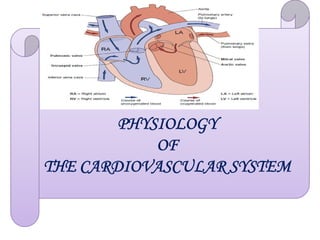 PHYSIOLOGY
PHYSIOLOGY
OF
THE CARDIOVASCULAR SYSTEM
 