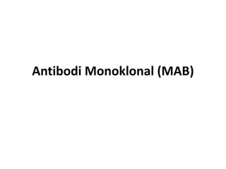 Antibodi Monoklonal (MAB)
 