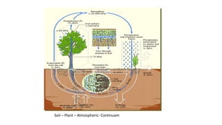 Soil – Plant – Atmospheric- Continuam
 