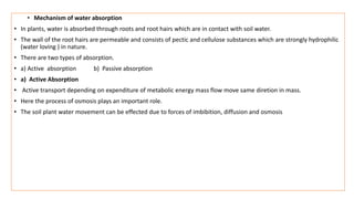 • Mechanism of water absorption
• In plants, water is absorbed through roots and root hairs which are in contact with soil water.
• The wall of the root hairs are permeable and consists of pectic and cellulose substances which are strongly hydrophilic
(water loving ) in nature.
• There are two types of absorption.
• a) Active absorption b) Passive absorption
• a) Active Absorption
• Active transport depending on expenditure of metabolic energy mass flow move same diretion in mass.
• Here the process of osmosis plays an important role.
• The soil plant water movement can be effected due to forces of imbibition, diffusion and osmosis
 
