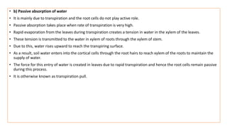 • b) Passive absorption of water
• It is mainly due to transpiration and the root cells do not play active role.
• Passive absorption takes place when rate of transpiration is very high.
• Rapid evaporation from the leaves during transpiration creates a tension in water in the xylem of the leaves.
• These tension is transmitted to the water in xylem of roots through the xylem of stem.
• Due to this, water rises upward to reach the transpiring surface.
• As a result, soil water enters into the cortical cells through the root hairs to reach xylem of the roots to maintain the
supply of water.
• The force for this entry of water is created in leaves due to rapid transpiration and hence the root cells remain passive
during this process.
• It is otherwise known as transpiration pull.
 