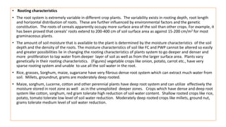 • Rooting characteristics
• The root system is extremely variable in different crop plants. The variability exists in rooting depth, root length
and horizontal distribution of roots. These are further influenced by environmental factors and the genetic
constitution. The roots of cereals apparently occupy more surface area of the soil than other crops. For example, it
has been proved that cereals’ roots extend to 200-400 cm of soil surface area as against 15-200 cm/m2 for most
graminaceous plants.
• The amount of soil moisture that is available to the plant is determined by the moisture characteristics of the soil
depth and the density of the roots. The moisture characteristics of soil like FC and PWP cannot be altered so easily
and greater possibilities lie in changing the rooting characteristics of plants system to go deeper and denser and
more proliferation to tap water from deeper layer of soil as well as from the larger surface area. Plants vary
genetically in their rooting characteristics. (Figures) vegetable crops like onion, potato, carrot etc., have very
sparse rooting system and unable to use all the soil water in the root.
• Rice, grasses, Sorghum, maize, sugarcane have very fibrous dense root system which can extract much water from
soil. Millets, groundnut, grams are moderately deep rooted.
• Maize, sorghum, Lucerne, cotton and other perennial plants have deep root system and can utilize effectively the
moisture stored in root zone as well as in the unexploited deeper zones. Crops which have dense and deep root
system like cotton, sorghum, red gram tolerate high reduction of soil water content. Shallow rooted crops like rice,
potato, tomato tolerate low level of soil water reduction. Moderately deep rooted crops like millets, ground nut,
grams tolerate medium level of soil water reduction.
 