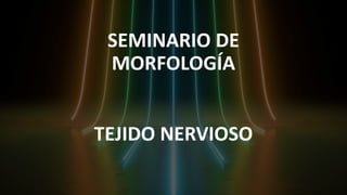 SEMINARIO DE
MORFOLOGÍA
TEJIDO NERVIOSO
 