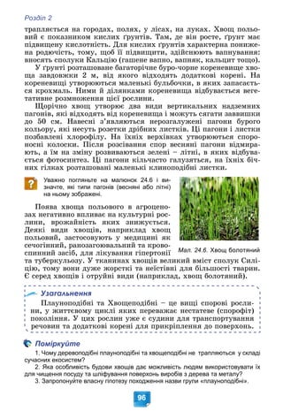 Розділ 2
96
òðàïëÿєòüñÿ íà ãîðîäàõ, ïîëÿõ, ó ëіñàõ, íà ëóêàõ. Õâîù ïîëüî-
âèé є ïîêàçíèêîì êèñëèõ ґðóíòіâ. Òàì, äå âіí ðîñòå, ґðóíò ìàє
ïіäâèùåíó êèñëîòíіñòü. Äëÿ êèñëèõ ґðóíòіâ õàðàêòåðíà ïîíèæå-
íà ðîäþ÷іñòü, òîìó, ùîá її ïіäâèùèòè, çäіéñíþþòü âàïíóâàííÿ:
âíîñÿòü ñïîëóêè Êàëüöіþ (ãàøåíå âàïíî, âàïíÿê, êàëüöèò òîùî).
Ó ґðóíòі ðîçòàøîâàíå áàãàòîðі÷íå áóðî-÷îðíå êîðåíåâèùå õâî-
ùà çàâäîâæêè 2 ì, âіä ÿêîãî âіäõîäÿòü äîäàòêîâі êîðåíі. Íà
êîðåíåâèùі óòâîðþþòüñÿ ìàëåíüêі áóëüáî÷êè, â ÿêèõ çàïàñàєòü-
ñÿ êðîõìàëü. Íèìè é äіëÿíêàìè êîðåíåâèùà âіäáóâàєòüñÿ âåãå-
òàòèâíå ðîçìíîæåííÿ öієї ðîñëèíè.
Ùîðі÷íî õâîù óòâîðþє äâà âèäè âåðòèêàëüíèõ íàäçåìíèõ
ïàãîíіâ, ÿêі âіäõîäÿòü âіä êîðåíåâèùà і ìîæóòü ñÿãàòè çàââèøêè
äî 50 ñì. Íàâåñíі ç’ÿâëÿþòüñÿ íåðîçãàëóæåíі ïàãîíè áóðîãî
êîëüîðó, ÿêі íåñóòü ðîçåòêè äðіáíèõ ëèñòêіâ. Öі ïàãîíè і ëèñòêè
ïîçáàâëåíі õëîðîôіëó. Íà їõíіõ âåðõіâêàõ óòâîðþþòüñÿ ñïîðî-
íîñíі êîëîñêè. Ïіñëÿ ðîçñіâàííÿ ñïîð âåñíÿíі ïàãîíè âіäìèðà-
þòü, à їì íà çìіíó ðîçâèâàþòüñÿ çåëåíі – ëіòíі, â ÿêèõ âіäáóâà-
єòüñÿ ôîòîñèíòåç. Öі ïàãîíè êіëü÷àñòî ãàëóçÿòüñÿ, íà їõíіõ áі÷-
íèõ ãіëêàõ ðîçòàøîâàíі ìàëåíüêі êëèíîïîäіáíі ëèñòêè.
Уважно погляньте на малюнок 24.6 і ви-
значте, які типи пагонів (весняні або літні)
на ньому зображені.
Ïîÿâà õâîùà ïîëüîâîãî â àãðîöåíî-
çàõ íåãàòèâíî âïëèâàє íà êóëüòóðíі ðîñ-
ëèíè, âðîæàéíіñòü ÿêèõ çíèæóєòüñÿ.
Äåÿêі âèäè õâîùіâ, íàïðèêëàä õâîù
ïîëüîâèé, çàñòîñîâóþòü ó ìåäèöèíі ÿê
ñå÷îãіííèé, ðàíîçàãîþâàëüíèé òà êðîâî-
ñïèííèé çàñіá, äëÿ ëіêóâàííÿ ãіïåðòîíії
òà òóáåðêóëüîçó. Ó òêàíèíàõ õâîùіâ âåëèêèé âìіñò ñïîëóê Ñèëі-
öіþ, òîìó âîíè äóæå æîðñòêі òà íåїñòіâíі äëÿ áіëüøîñòі òâàðèí.
Є ñåðåä õâîùіâ і îòðóéíі âèäè (íàïðèêëàä, õâîù áîëîòÿíèé).
Узагальнення
Ïëàóíîïîäіáíі òà Õâîùåïîäіáíі – öå âèùі ñïîðîâі ðîñëè-
íè, ó æèòòєâîìó öèêëі ÿêèõ ïåðåâàæàє íåñòàòåâå (ñïîðîôіò)
ïîêîëіííÿ. Ó öèõ ðîñëèí óæå є ñóäèíè äëÿ òðàíñïîðòóâàííÿ
ðå÷îâèí òà äîäàòêîâі êîðåíі äëÿ ïðèêðіïëåííÿ äî ïîâåðõîíü.
Поміркуйте
1. Чому деревоподібні плауноподібні та хвощеподібні не трапляються у складі
сучасних екосистем?
2. Яка особливість будови хвощів дає можливість людям використовувати їх
для чищення посуду та шліфування поверхонь виробів з дерева та металу?
3. Запропонуйте власну гіпотезу походження назви групи «плауноподібні».
Мал. 24.6. Хвощ болотяний
 