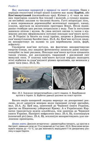 Розділ 2
98
ßêå çíà÷åííÿ ïàïîðîòåé ó ïðèðîäі òà æèòòі ëþäèíè. Îäèí ç
ïåðіîäіâ ãåîëîãі÷íîї іñòîðії íàøîї ïëàíåòè ìàє íàçâó Êàðáîí, àáî
Êàì’ÿíîâóãіëüíèé (ïàëåîçîéñüêà åðà). Êëіìàò ó òі ÷àñè íà ïåâ-
íèõ òåðèòîðіÿõ ïëàíåòè áóâ òåïëèé і âîëîãèé, à ñóõîäіë âêðèâà-
ëè íåãëèáîêі çàïëàâè òà ÷èñëåííі áîëîòà. Ãóñòі íåïðîõіäíі ëіñè,
ó ÿêèõ ïåðåâàæàëè äåðåâîïîäіáíі âåëåòåíñüêі ïàïîðîòі, õâîùі,
ïëàóíè, çðîñòàëè íà âåëè÷åçíèõ ïðîñòîðàõ Çåìëі. Ïіñëÿ âіäìè-
ðàííÿ ñòîâáóðè öèõ ðîñëèí ïîòðàïëÿëè ó âîäó. Òàì їõ ïîñòóïîâî
çàíîñèëî ïіñêîì і ìóëîì. Çà óìîâ íåñòà÷і êèñíþ іç ÷àñîì ç âіä-
ìåðëèõ ðîñëèí ñôîðìóâàëèñÿ ïîòóæíі ïîêëàäè êàì’ÿíîãî âóãіë-
ëÿ. Â Óêðàїíі їõ áàãàòî íà ñõîäі êðàїíè, çîêðåìà â Äîíåöüêîìó
êàì’ÿíîâóãіëüíîìó áàñåéíі (ìàë. 25.3, À). Êàì’ÿíå âóãіëëÿ ëþäè-
íà âèêîðèñòîâóє ÿê ïàëèâî òà äëÿ âèðîáíèöòâà ëàêіâ, ôàðá,
àñôàëüòó.
Ñïàëþþ÷è êàì’ÿíå âóãіëëÿ, ìè ôàêòè÷íî âèêîðèñòîâóєìî
åíåðãіþ Ñîíöÿ, ÿêó çàâäÿêè ôîòîñèíòåçó çàïàñàëè äàâíі ïàïîðî-
òåïîäіáíі òà іíøі ðîñëèíè. Ïîêëàäè êàì’ÿíîãî âóãіëëÿ öіêàâëÿòü
òàêîæ ó÷åíèõ, ÿêі äîñëіäæóþòü òâàðèííèé і ðîñëèííèé ñâіò
ìèíóëèõ åïîõ. Ó ïëàñòàõ êàì’ÿíîãî âóãіëëÿ íåðіäêî çíàõîäÿòü
÷іòêі âіäáèòêè òà ñêàì’ÿíіëîñòі ðіçíèõ îðãàíіçìіâ, ùî ìåøêàëè ó
äàâíі ÷àñè (ìàë. 25.3, Á).
Мал. 25.3. Значення папоротеподібних у житті людини. А. Видобування
вугілля в Україні. Б. Відбиток давньої рослини на пласті вугілля
Áàãàòî âèäіâ ïàïîðîòåé ëþäèíà âèðîùóє ÿê äåêîðàòèâíі ðîñ-
ëèíè, ÿê-îò àäіàíòóì âåíåðèí âîëîñ (âåíåðèíі êó÷åðі çâè÷àéíі,
ìàë. 25.4, À). Öåé âèä, çàíåñåíèé äî ×åðâîíîї êíèãè Óêðàїíè,
çðîñòàє íà Ïіâäåííîìó óçáåðåææі Êðèìó. À â Óêðàїíñüêèõ Êàð-
ïàòàõ òðàïëÿєòüñÿ âóäñіÿ àëüïіéñüêà, òåæ çàíåñåíà äî ×åðâîíîї
êíèãè Óêðàїíè. Ïàïîðîòі íåôðîëåïіñ (ìàë. 25.4, Á), ïëàòèöåðіóì
(îëåíÿ÷èé ðіã) (ìàë. 25.4, Â), àñïëåíіóì âèêîðèñòîâóþòü äëÿ îçå-
ëåíåííÿ ïðèìіùåíü.
Цікаво знати. Диксонія антарктична – деревоподібна папороть, що зростає в
Австралії, заввишки сягає до 15 м (зазвичай до 5 м) (мал. 25.5). Вона може витри-
мувати морози до –13 С, що дає можливість вирощувати її як декоративну рос-
лину в садах Європи.
А Б
 