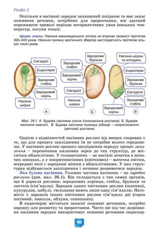 Розділ 2
100
Îñêіëüêè â íàñіíèíі çàðîäîê çàõèùåíèé øêіðêîþ òà ìàє çàïàñ
ïîæèâíèõ ðå÷îâèí, ïîòðіáíèõ äëÿ ïðîðîñòàííÿ, âіí çäàòíèé
ïåðåæèâàòè òðèâàëі ïåðіîäè íåñïðèÿòëèâèõ óìîâ (íèçüêèõ òåì-
ïåðàòóð, ïîñóõè òîùî).
Цікаво знати. Насіння маньчжурського лотоса не втрачає схожості протягом
300–400 років. Насіння люпину арктичного зберігає життєздатність протягом кіль-
кох тисяч років.
Сім’ядолі
Ендосперм
Зародкове
стебло
Зародковий
корінь
Насінна
Насінна
шкірка
Сім’ядолі
Зародкове
стебло
Зародковий
корінь
Насінна
а
шкірка
Зародкова
брунька
Насінна шкірка
та оплодень
Ендосперм
Зародкова
брунька
Зародкове
стебло
Зародковий
корінь
Сім’ядоля
А Б В
Мал. 26.1. А. Будова насінини сосни (голонасінна рослина). Б. Будова
насінини квасолі. В. Будова насінини пшениці (обидві – покритонасінні
(квіткові) рослини)
Îäíієþ ç âіäìіííîñòåé íàñіííèõ ðîñëèí âіä âèùèõ ñïîðîâèõ є
òå, ùî äëÿ ïðîöåñó çàïëіäíåííÿ їì íå ïîòðіáíå âîëîãå ñåðåäîâè-
ùå. Ó íàñіííèõ ðîñëèí ïðîöåñó çàïëіäíåííÿ ïåðåäóє ïðîöåñ çàïè-
ëåííÿ – ïåðåíåñåííÿ ïèëêîâèõ çåðåí äî òèõ ñòðóêòóð, äå ìіñ-
òÿòüñÿ ÿéöåêëіòèíè. Ó ãîëîíàñіííèõ – öå íàñіííі çà÷àòêè â æіíî-
÷èõ øèøêàõ, à ó ïîêðèòîíàñіííèõ (êâіòêîâèõ) – ìàòî÷êà êâіòêè,
âñåðåäèíі ÿêîї є çàðîäêîâі ìіøêè ç ÿéöåêëіòèíàìè. Ó öèõ ñòðóê-
òóðàõ âіäáóâàєòüñÿ çàïëіäíåííÿ і ïî÷èíàє ðîçâèâàòèñÿ çàðîäîê.
ßêà áóäîâà íàñіíèíè. Ãîëîâíà ÷àñòèíà íàñіíèíè – öå çàðîäîê
ðîñëèíè (äèâ. ìàë. 26.1). Âіí ñêëàäàєòüñÿ ç òèõ ñàìèõ îðãàíіâ,
ùî é äîðîñëà ðîñëèíà: çàðîäêîâèõ êîðіíöÿ, ñòåáëà, áðóíüêè òà
ëèñòêіâ (ñіì’ÿäîëü). Çàðîäêè îäíèõ êâіòêîâèõ ðîñëèí (ïøåíèöі,
êóêóðóäçè, öèáóëі, òþëüïàíà) ìàþòü ëèøå îäíó ñіì’ÿäîëþ. Íàòî-
ìіñòü ó çàðîäêіâ іíøèõ êâіòêîâèõ ðîñëèí ñіì’ÿäîëü äâі (ãîðîõ
ïîñіâíèé, êâàñîëÿ, ÿáëóíÿ, ñîíÿøíèê).
Â åíäîñïåðìі ìіñòÿòüñÿ çàïàñíі ïîæèâíі ðå÷îâèíè, ïîòðіáíі
çàðîäêó äëÿ ðîçâèòêó òà ïðîðîñòàííÿ. ×àñòî ùå ïіä ÷àñ äîçðіâàí-
íÿ íàñіíèíè çàðîäîê âèêîðèñòîâóє ïîæèâíі ðå÷îâèíè åíäîñïåð-
 