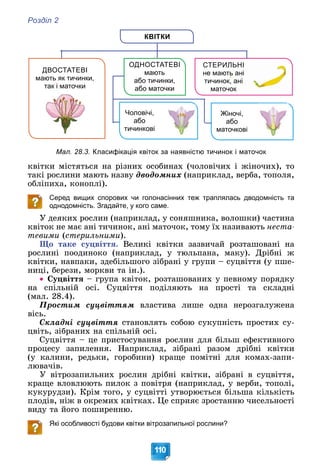 Розділ 2
110
КВІТКИ
СТЕРИЛ
ЛЬНІ
не мають
ь ані
тичинок, ані
маточо
ок
ОДНОСТАТЕВІ
мають
або тичинки,
або маточки
ДВОСТАТЕВІ
мають як тичинки,
так і маточки
Чоловічі,
або
тичинкові
Жіночі,
або
маточкові
Мал. 28.3. Класифікація квіток за наявністю тичинок і маточок
êâіòêè ìіñòÿòüñÿ íà ðіçíèõ îñîáèíàõ (÷îëîâі÷èõ і æіíî÷èõ), òî
òàêі ðîñëèíè ìàþòü íàçâó äâîäîìíèõ (íàïðèêëàä, âåðáà, òîïîëÿ,
îáëіïèõà, êîíîïëі).
Серед вищих спорових чи голонасінних теж траплялась дводомність та
однодомність. Згадайте, у кого саме.
Ó äåÿêèõ ðîñëèí (íàïðèêëàä, ó ñîíÿøíèêà, âîëîøêè) ÷àñòèíà
êâіòîê íå ìàє àíі òè÷èíîê, àíі ìàòî÷îê, òîìó їõ íàçèâàþòü íåñòà-
òåâèìè (ñòåðèëüíèìè).
Ùî òàêå ñóöâіòòÿ. Âåëèêі êâіòêè çàçâè÷àé ðîçòàøîâàíі íà
ðîñëèíі ïîîäèíîêî (íàïðèêëàä, ó òþëüïàíà, ìàêó). Äðіáíі æ
êâіòêè, íàâïàêè, çäåáіëüøîãî çіáðàíі ó ãðóïè – ñóöâіòòÿ (ó ïøå-
íèöі, áåðåçè, ìîðêâè òà іí.).
 Ñóöâіòòÿ – ãðóïà êâіòîê, ðîçòàøîâàíèõ ó ïåâíîìó ïîðÿäêó
íà ñïіëüíіé îñі. Ñóöâіòòÿ ïîäіëÿþòü íà ïðîñòі òà ñêëàäíі
(ìàë. 28.4).
Ïðîñòèì ñóöâіòòÿì âëàñòèâà ëèøå îäíà íåðîçãàëóæåíà
âіñü.
Ñêëàäíі ñóöâіòòÿ ñòàíîâëÿòü ñîáîþ ñóêóïíіñòü ïðîñòèõ ñó-
öâіòü, çіáðàíèõ íà ñïіëüíіé îñі.
Ñóöâіòòÿ – öå ïðèñòîñóâàííÿ ðîñëèí äëÿ áіëüø åôåêòèâíîãî
ïðîöåñó çàïèëåííÿ. Íàïðèêëàä, çіáðàíі ðàçîì äðіáíі êâіòêè
(ó êàëèíè, ðåäüêè, ãîðîáèíè) êðàùå ïîìіòíі äëÿ êîìàõ-çàïè-
ëþâà÷іâ.
Ó âіòðîçàïèëüíèõ ðîñëèí äðіáíі êâіòêè, çіáðàíі â ñóöâіòòÿ,
êðàùå âëîâëþþòü ïèëîê ç ïîâіòðÿ (íàïðèêëàä, ó âåðáè, òîïîëі,
êóêóðóäçè). Êðіì òîãî, ó ñóöâіòòі óòâîðþєòüñÿ áіëüøà êіëüêіñòü
ïëîäіâ, íіæ â îêðåìèõ êâіòêàõ. Öå ñïðèÿє çðîñòàííþ ÷èñåëüíîñòі
âèäó òà éîãî ïîøèðåííþ.
Які особливості будови квітки вітрозапильної рослини?
 
