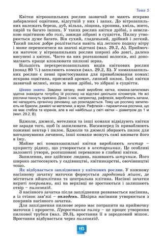 Тема 5
113
Êâіòêè âіòðîçàïèëüíèõ ðîñëèí çàçâè÷àé íå ìàþòü ÿñêðàâî
çàáàðâëåíîї îöâіòèíè, âіäñóòíіé ó íèõ і çàïàõ. Äî âіòðîçàïèëü-
íèõ íàëåæàòü áåðåçà, äóá, âіëüõà, ëіùèíà, êðîïèâà, õìіëü, æèòî,
ïèðіé òà áàãàòî іíøèõ. Ó òàêèõ ðîñëèí êâіòêè äðіáíі, ç íåâåëè-
êîþ îöâіòèíîþ àáî ãîëі, çàâæäè çіáðàíі â ñóöâіòòÿ. Ïèëêó óòâî-
ðþєòüñÿ äóæå áàãàòî. Âіí ñóõèé, ãëàäåíüêèé, äðіáíèé і ëåãêèé.
Òàêèé ïèëîê äîáðå ðîçëіòàєòüñÿ íàâіòü âіä ëåãêîãî ïîäèõó âіòðó
і ìîæå ïåðåíîñèòèñÿ íà çíà÷íі âіäñòàíі (ìàë. 29.2, À). Ïðèéìî÷-
êè ìàòî÷îê ó âіòðîçàïèëüíèõ ðîñëèí øèðîêі àáî äîâãі, äàëåêî
âèñóíåíі ç êâіòîê. ×àñòî íà íèõ ðîçòàøîâàíі âîëîñêè, ÿêі äîïî-
ìàãàþòü êðàùå âëîâëþâàòè ïèëêîâі çåðíà.
Áіëüøіñòü ïåðåõðåñíîçàïèëüíèõ âèäіâ êâіòêîâèõ ðîñëèí
(ïîíàä 80 %) çàïèëþþòü êîìàõè (ìàë. 29.2, Á). Ó êîìàõîçàïèëü-
íèõ ðîñëèí є ïåâíі ïðèñòîñóâàííÿ äëÿ ïðèâàáëþâàííÿ êîìàõ:
ÿñêðàâà îöâіòèíà, ïðèєìíèé àðîìàò, ëèïêèé ïèëîê. Їõíі êâіòêè
çàçâè÷àé âåëèêі, ÿêùî æ âîíè äðіáíі, òî çіáðàíі â ñóöâіòòÿ.
Цікаво знати. Завдяки запаху, який виробляє квітка, комаха-запилювач
здатна знаходити потрібну їй рослину на відстані декількох кілометрів. Не всі
рослини пахнуть приємно. Деякі з них, наприклад, рафлезія, виробляють запахи,
які нагадують органічну речовину, що розкладається. Тому цю рослину запилю-
ють не бджоли, джмелі чи метелики, а мухи. Рафлезія – паразитична рослина, що
не має стебла та коренів, але в неї найбільші у світі квітки – діаметром до 1 м
(мал. 29.2, В).
Áäæîëè, äæìåëі, ìåòåëèêè òà іíøі êîìàõè âіäâіäóþòü êâіòêè
íå çàðàäè òîãî, ùîá їõ çàïèëþâàòè. Íàñàìïåðåä їõ ïðèâàáëþþòü
ïîæèâíі íåêòàð і ïèëîê. Áäæîëè òà äæìåëі çáèðàþòü ïèëîê äëÿ
âèãîäîâóâàííÿ ëè÷èíîê, іíøі êîìàõè ìîæóòü ñàìі âæèâàòè éîãî
â їæó.
Ìàéæå âñі êîìàõîçàïèëüíі êâіòêè âèðîáëÿþòü íåêòàð –
öóêðèñòó ðіäèíó, ùî óòâîðþєòüñÿ â íåêòàðíèêàõ. Öå îñîáëèâі
çàëîçèñòі óòâîðè, ðîçòàøîâàíі ïåðåâàæíî â ãëèáèíі êâіòêè.
Çàïèëåííÿ, ÿêå çäіéñíþє ëþäèíà, íàçèâàþòü øòó÷íèì. Éîãî
øèðîêî çàñòîñîâóþòü ó ñàäіâíèöòâі, êâіòíèêàðñòâі, îâî÷іâíèöòâі
òîùî.
ßê âіäáóâàєòüñÿ çàïëіäíåííÿ ó êâіòêîâèõ ðîñëèí. Ó êîæíîìó
íàñіííîìó çà÷àòêó ìàòî÷êè ôîðìóєòüñÿ çàðîäêîâèé ìіøîê, äå
ìіñòèòüñÿ ÿéöåêëіòèíà òà öåíòðàëüíà êëіòèíà. Íàñіííі çà÷àòêè
âêðèòі ïîêðèâàìè, ÿêі íà âåðõіâöі íå çðîñòàþòüñÿ і çàëèøàþòü
îòâіð – ïèëêîâõіä.
Ç íàñіííîãî çà÷àòêà ïіñëÿ çàïëіäíåííÿ ðîçâèâàєòüñÿ íàñіíèíà,
à іç ñòіíîê çàâ’ÿçі – îïëîäåíü. Øêіðêà íàñіíèíè óòâîðþєòüñÿ ç
ïîêðèâіâ íàñіííîãî çà÷àòêà.
Äëÿ çàïëіäíåííÿ ïèëêîâå çåðíî ìàє ïîòðàïèòè íà ïðèéìî÷êó
ìàòî÷êè і ïðîðîñòè. Ïðîðîñòàííÿ ïèëêó – öå ïðîöåñ óòâîðåííÿ
ïèëêîâîї òðóáêè (ìàë. 29.3), âðîñòàííÿ її â çàðîäêîâèé ìіøîê.
Âðîñòàííÿ âіäáóâàєòüñÿ ÷åðåç ïèëêîâõіä.
 