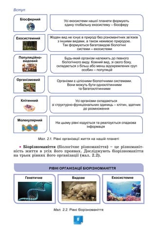 Вступ
8
Біосферний Усі екосистеми нашої планети формують
єдину глобальну екосистему – біосферу
Екосистемний Жоден вид не існує в природі без різноманітних зв’язків
з іншими видами, а також неживою природою.
Так формуються багатовидові біологічні
системи – екосистеми
Популяційно-
видовий
Будь-який організм належить до певного
біологічного виду. Кожний вид, зі свого боку,
складається з більш або менш відокремлених груп
особин – популяцій
Організмовий Організми є цілісними біологічними системами.
Вони можуть бути одноклітинними
та багатоклітинними
Клітинний Усі організми складаються
зі структурно-функціональних одиниць – клітин, здатних
до розмноження
Молекулярний
На цьому рівні кодується та реалізується спадкова
інформація
Мал. 2.1. Рівні організації життя на нашій планеті
 Áіîðіçíîìàíіòòÿ (áіîëîãі÷íå ðіçíîìàíіòòÿ) – öå ðіçíîìàíіò-
íіñòü æèòòÿ â óñіõ éîãî ïðîÿâàõ. Äîñëіäæóþòü áіîðіçíîìàíіòòÿ
íà òðüîõ ðіâíÿõ éîãî îðãàíіçàöії (ìàë. 2.2).
Генетичне Екосистемне
РІВНІ ОРГАНІЗАЦІЇ БІОРІЗНОМАНІТТЯ
Видове
Мал. 2.2. Рівні біорізноманіття
 