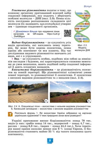 Вступ
9
Ãåíåòè÷íå ðіçíîìàíіòòÿ ïîëÿãàє â òîìó, ùî
êîæíîìó îðãàíіçìó ïðèòàìàííèé âëàñíèé íàáіð
ñïàäêîâîї іíôîðìàöії, ÿêó êîäóþòü і çáåðіãàþòü
îñîáëèâі ìîëåêóëè – ÄÍÊ (ìàë. 2.3). Ïåâíà êіëü-
êіñòü ïîñëіäîâíî ðîçòàøîâàíèõ ñêëàäíèêіâ öієї
ìîëåêóëè (їõ íàçèâàþòü íóêëåîòèäàìè) óòâîðþє
ãåí – îäèíèöþ ñïàäêîâîñòі îðãàíіçìіâ.
Дізнайтеся більше про кодування ознак
організмів за QR-кодом. https://cutt.ly/
DwKB6gux
Âèäîâå áіîðіçíîìàíіòòÿ – öå ñóêóïíіñòü óñіõ
âèäіâ îðãàíіçìіâ, ÿêі íàñåëÿþòü ïåâíó òåðèòî-
ðіþ. Öå ìîæå áóòè îêðåìà åêîñèñòåìà, ïåâíà
êðàїíà àáî êîíòèíåíò ÷è âñÿ ïëàíåòà. Ïіä ÷àñ
äîñëіäæåííÿ âèäîâîãî ðіçíîìàíіòòÿ âèâ÷àþòü óñі
âèäè, ÿêі є â óãðóïîâàííі.
 Âèä – öå ñóêóïíіñòü îñîáèí, ïîäіáíèõ ìіæ ñîáîþ çà çîâíіø-
íіì âèãëÿäîì і áóäîâîþ, ÿêі õàðàêòåðèçóþòüñÿ ñõîæèìè âèìîãà-
ìè äî óìîâ ìåøêàííÿ, ìàþòü ïîäіáíèé íàáіð ñïàäêîâîї іíôîðìà-
öії é äàþòü ïëîäþ÷èõ íàùàäêіâ.
Åêîñèñòåìíå áіîðіçíîìàíіòòÿ – öå ðіçíîìàíіòíіñòü åêîñèñ-
òåì íà ïåâíіé òåðèòîðії. Ùî ðіçíîìàíіòíіøі êëіìàòè÷íі óìîâè
ïåâíîї òåðèòîðії, òî ðіçíîìàíіòíіøі її åêîñèñòåìè. Є åêîñèñòåìè
ç âèñîêèì âèäîâèì ðіçíîìàíіòòÿì òà ç íèçüêèì (ìàë. 2.4).
Мал. 2.4. А. Олешківські піски – екосистема з низьким видовим різноманіттям.
Б. Канівський заповідник – екосистема з високим видовим різноманіттям
Розгляньте форзац 1. Які екосистеми України зображено на картинах
українських художників? У яких природних зонах вони розміщені?
Óêðàїíі ïðèòàìàííå âèñîêå áіîðіçíîìàíіòòÿ: ïîíàä 70 òèñ.
âèäіâ (ç íèõ: ãðèáіâ ïîíàä 14 òèñ., âîäîðîñòåé – ïîíàä 4,7 òèñ.,
ðîñëèí – ïîíàä 6,8 òèñ., òâàðèí – ïîíàä 44,5 òèñ.). Õî÷à òåðèòî-
ðіÿ íàøîї êðàїíè îõîïëþє ìåíøå íіæ 6 % ïëîùі Єâðîïè, її áіî-
ðіçíîìàíіòòÿ ñòàíîâèòü ìàéæå 35 % âіä òàêîãî ïîêàçíèêà öüîãî
êîíòèíåíòó.
Мал. 2.3.
Модель
молекули ДНК
Б
А
 