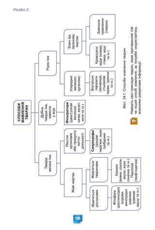 Розділ 2
136
СПОСОБИ
ЖИВЛЕННЯ
ТВАРИН
Рештки
організмів
або
продукти
життє-
діяльності
Тверда
велика
їжа
Живі
жертви
Хижаки
(вовки,
соколи,
акули,
жуки
сонечка
та
ін.)
Падлоїди
(гриф-індичка)
Фітофаги
(рослиноїдні)
(корови,
виноградні
равлики,
травневі
хрущі
та
ін.)
Дрібна
тверда
їжа,
зависла
у
воді
Фільтратори
(двостулкові
молюски,
качки,
вусаті
кити
та
ін.)
Сапротрофи
(дощові
черв’яки,
жуки
гробарики
та
ін.)
Живляться
тваринами
Живляться
рослинами
Усередині
великого
організму
Рідка
їжа
Зовні
від
організму
жертви
Внутрішні
паразити
(аскарида,
стьожкові
черви,
трихіни
та
ін.)
Зовнішнє
травлення
(павуки)
Кровосисні
види
(комарі,
п’явки,
воші
та
ін.)
Мал.
34.1.
Способи
живлення
тварин
Наведіть
свої
приклади
тварин,
яким
притаманний
той
чи
інший
спосіб
живлення;
за
потреби
скористайтесь
власними
джерелами
інформації.
 