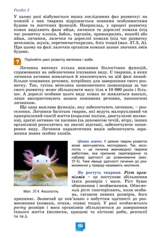 Розділ 2
150
Ó öüîìó ðàçі âіäáóâàєòüñÿ íèçêà ïîñëіäîâíèõ ôàç ðîçâèòêó: íà
êîæíіé ç íèõ òâàðèíà âіäðіçíÿєòüñÿ ïåâíèìè îñîáëèâîñòÿìè
áóäîâè òà æèòòєâèõ ôóíêöіé. Íàïðèêëàä, ó ïðîöåñі ðîçâèòêó
êîìàõ âèäіëÿþòü ôàçè ÿéöÿ, ëè÷èíêè òà äîðîñëîї êîìàõè (ïіä
÷àñ ðîçâèòêó êëîïіâ, áàáîê, òàðãàíіâ, ïðÿìîêðèëèõ, âîøåé) àáî
ÿéöÿ, ëè÷èíêè, ëÿëå÷êè òà äîðîñëîї êîìàõè (ïіä ÷àñ ðîçâèòêó
ìåòåëèêіâ, æóêіâ, ïåðåòèí÷àñòîêðèëèõ, áëіõ òîùî) (ìàë. 37.3, À).
Ïðè öüîìó íà ôàçі ëÿëå÷êè îðãàíіçì êîìàõè çàçíàє çíà÷íèõ çìіí
áóäîâè.
Поріняйте цикл розвитку метелика і жаби.
Ëè÷èíêà âèêîíóє êіëüêà âàæëèâèõ áіîëîãі÷íèõ ôóíêöіé,
ñïðÿìîâàíèõ íà çàáåçïå÷åííÿ іñíóâàííÿ âèäó. Є òâàðèíè, â ÿêèõ
ëè÷èíêè àêòèâíî æèâëÿòüñÿ é íàêîïè÷óþòü íà öіé ôàçі ÿêíàé-
áіëüøå ïîæèâíèõ ðå÷îâèí, ïîòðіáíèõ äëÿ çàâåðøåííÿ ñâîãî ðîç-
âèòêó. Òàê, ãóñіíü ìåòåëèêà øîâêîâè÷íîãî øîâêîïðÿäà çà ÷àñ
ñâîãî ðîçâèòêó ìîæå çáіëüøóâàòè ìàñó òіëà â 10 000 ðàçіâ і áіëü-
øå. À äîðîñëі îñîáèíè öüîãî âèäó êîìàõ íå æèâëÿòüñÿ âçàãàëі,
ëèøå âèêîðèñòîâóþòü çàïàñè ïîæèâíèõ ðå÷îâèí, íàêîïè÷åíі
ëè÷èíêîþ.
Ùå îäíà âàæëèâà ôóíêöіÿ, ÿêó çàáåçïå÷óþòü ëè÷èíêè, – ðîç-
ñåëåííÿ. Ëè÷èíêè áàãàòüîõ òâàðèí, ÿêі âåäóòü ìàëîðóõëèâèé ÷è
ïðèêðіïëåíèé ñïîñіá æèòòÿ (êîðàëîâі ïîëіïè, äâîñòóëêîâі ìîëþñ-
êè), çäàòíі àêòèâíî ÷è ïàñèâíî (çà äîïîìîãîþ òå÷іé, âіòðó, іíøèõ
îðãàíіçìіâ) ðîçñåëÿòèñü íà çíà÷íі âіäñòàíі, çàáåçïå÷óþ÷è ïîøè-
ðåííÿ âèäó. Ëè÷èíêè ïàðàçèòè÷íèõ âèäіâ çàáåçïå÷óþòü çàðà-
æåííÿ íîâèõ îñîáèí õàçÿїâ.
Цікаво знати. У деяких тварин розвиток
може закінчуватись несподівано. Так, аксо-
лотль – це личинка земноводної тварини
амбістоми, яка припиняє перетворення та
набуває здатності до розмноження (мал.
37.4). Таке явище здатності личинки до роз-
множення у природі називають неотенія.
ßê ðîñòóòü òâàðèíè. Ðіñò îðãà-
íіçìіâ – öå ïîñòóïîâå çáіëüøåííÿ
їõíіõ ðîçìіðіâ і ìàñè. Ðіñò áóâàє
îáìåæåíèì і íåîáìåæåíèì. Îáìåæå-
íèé ðіñò ñïîñòåðіãàþòü, êîëè îñîáè-
íà, ñÿãàþ÷è ïåâíèõ ðîçìіðіâ, éîãî
ïðèïèíÿє. Çàçâè÷àé öå ïîâ’ÿçàíî ç íàáóòòÿì çäàòíîñòі äî ðîç-
ìíîæåííÿ (êîìàõè, ïòàõè, ññàâöі òîùî). Ó ðàçі íåîáìåæåíîãî
ðîñòó ðîçìіðè і ìàñà îðãàíіçìіâ çáіëüøóþòüñÿ äî çàâåðøåííÿ
їõíüîãî æèòòÿ (ìîëþñêè, õðÿùîâі òà êіñòêîâі ðèáè, ðåïòèëії
òà іí.).
Мал. 37.4. Аксолотль
 