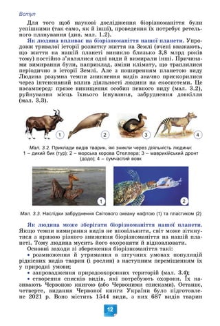 Вступ
12
Äëÿ òîãî ùîá íàóêîâі äîñëіäæåííÿ áіîðіçíîìàíіòòÿ áóëè
óñïіøíèìè (òàê ñàìî, ÿê é іíøі), ïðîâåäåííÿ їõ ïîòðåáóє ðåòåëü-
íîãî ïëàíóâàííÿ (äèâ. ìàë. 1.2).
ßê ëþäèíà âïëèâàє íà áіîðіçíîìàíіòòÿ íàøîї ïëàíåòè. Óïðî-
äîâæ òðèâàëîї іñòîðії ðîçâèòêó æèòòÿ íà Çåìëі (â÷åíі ââàæàþòü,
ùî æèòòÿ íà íàøіé ïëàíåòі âèíèêëî áëèçüêî 3,8 ìëðä ðîêіâ
òîìó) ïîñòіéíî ç’ÿâëÿëèñÿ îäíі âèäè é âèìèðàëè іíøі. Ïðè÷èíà-
ìè âèìèðàííÿ áóëè, íàïðèêëàä, çìіíè êëіìàòó, ùî òðàïëÿëèñÿ
ïåðіîäè÷íî â іñòîðії Çåìëі. Àëå ç ïîøèðåííÿì ïëàíåòîþ âèäó
Ëþäèíà ðîçóìíà òåìïè çíèêíåííÿ âèäіâ çíà÷íî ïðèñêîðèëèñÿ
÷åðåç іíòåíñèâíèé âïëèâ äіÿëüíîñòі ëþäèíè íà åêîñèñòåìè. Öå
íàñàìïåðåä: ïðÿìå âèíèùåííÿ îñîáèí ïåâíîãî âèäó (ìàë. 3.2),
ðóéíóâàííÿ ìіñöü їõíüîãî іñíóâàííÿ, çàáðóäíåííÿ äîâêіëëÿ
(ìàë. 3.3).
Мал. 3.2. Приклади видів тварин, які зникли через діяльність людини:
1 – дикий бик (тур); 2 – морська корова Стеллера; 3 – маврикійський дронт
(додо); 4 – сумчастий вовк
Мал. 3.3. Наслідки забруднення Світового океану нафтою (1) та пластиком (2)
ßê ëþäèíà ìîæå çáåðіãàòè áіîðіçíîìàíіòòÿ íàøîї ïëàíåòè.
ßêùî òåìïè âèìèðàííÿ âèäіâ íå âïîâіëüíèòè, ñâіò ìîæå çіòêíó-
òèñÿ ç êðèçîþ ðіçêîãî çíèæåííÿ áіîðіçíîìàíіòòÿ íà íàøіé ïëà-
íåòі. Òîìó ëþäèíà ìóñèòü éîãî îõîðîíÿòè é âіäíîâëþâàòè.
Îñíîâíі çàõîäè çі çáåðåæåííÿ áіîðіçíîìàíіòòÿ òàêі:

 ðîçìíîæåííÿ é óòðèìàííÿ â øòó÷íèõ óìîâàõ ïîïóëÿöіé
ðіäêіñíèõ âèäіâ òâàðèí (і ðîñëèí) ç íàñòóïíèì ïåðåìіùåííÿì їõ
ó ïðèðîäíі óìîâè;

 çàïðîâàäæåííÿ ïðèðîäîîõîðîííèõ òåðèòîðіé (ìàë. 3.4);

 ñòâîðåííÿ ñïèñêіâ âèäіâ, ÿêі ïîòðåáóþòü îõîðîíè. Їõ íà-
( )
)
çèâàþòü ×åðâîíîþ êíèãîþ (àáî ×åðâîíèìè ñïèñêàìè). Îñòàííє,
÷åòâåðòå, âèäàííÿ ×åðâîíîї êíèãè Óêðàїíè áóëî ïіäãîòîâëå-
íå 2021 ð. Âîíî ìіñòèòü 1544 âèäè, ç íèõ 687 âèäіâ òâàðèí
1 2 3 4
2
1
 