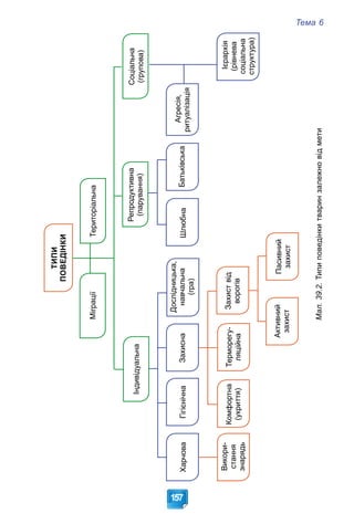Тема 6
157
ТИПИ
ПОВЕДІНКИ
Активний
захист
Міграції
Індивідуальна
Комфортна
(укриття)
Викори-
стання
знарядь
Територіальна
Пасивний
захист
Захисна
Гігієнічна
Харчова
Репродуктивна
(парування)
Соціальна
(групова)
Шлюбна
Агресія,
ритуалізація
Батьківська
Дослідницька,
навчальна
(гра)
Захист
від
ворогів
Терморегу-
ляційна
Ієрархія
(рівнева
соціальна
структура)
Мал.
39.2.
Типи
поведінки
тварин
залежно
від
мети
 