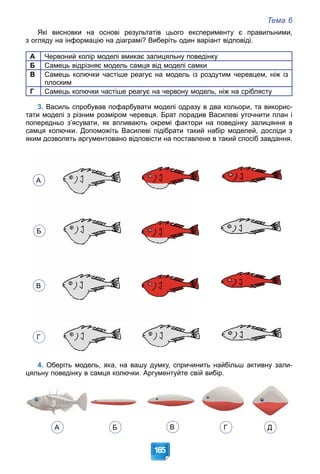 Тема 6
165
Які висновки на основі результатів цього експерименту є правильними,
з огляду на інформацію на діаграмі? Виберіть один варіант відповіді.
А Червоний колір моделі вмикає залицяльну поведінку
Б Самець відрізняє модель самця від моделі самки
В Самець колючки частіше реагує на модель із роздутим черевцем, ніж із
плоским
Г Самець колючки частіше реагує на червону модель, ніж на сріблясту
3. Василь спробував пофарбувати моделі одразу в два кольори, та викорис-
тати моделі з різним розміром черевця. Брат порадив Василеві уточнити план і
попередньо з’ясувати, як впливають окремі фактори на поведінку залицяння в
самця колючки. Допоможіть Василеві підібрати такий набір моделей, досліди з
яким дозволять аргументовано відповісти на поставлене в такий спосіб завдання.
А
Б
В
Г
4. Оберіть модель, яка, на вашу думку, спричинить найбільш активну зали-
цяльну поведінку в самця колючки. Аргументуйте свій вибір.
А Б В Г Д
 