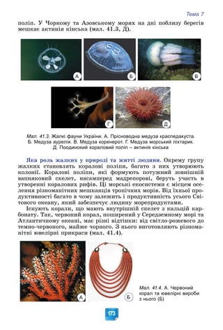 Тема 7
173
ïîëіï. Ó ×îðíîìó òà Àçîâñüêîìó ìîðÿõ íà äíі ïîáëèçó áåðåãіâ
ìåøêàє àêòèíіÿ êіíñüêà (ìàë. 41.3, Ä).
А Б В
Г Д
Мал. 41.3. Жалкі фауни України. А. Прісноводна медуза краспедакуста.
Б. Медуза аурелія. В. Медуза коренерот. Г. Медуза морський ліхтарик.
Д. Поодинокий кораловий поліп – актинія кінська
ßêà ðîëü æàëêèõ ó ïðèðîäі òà æèòòі ëþäèíè. Îêðåìó ãðóïó
æàëêèõ ñòàíîâëÿòü êîðàëîâі ïîëіïè, áàãàòî ç íèõ óòâîðþþòü
êîëîíії. Êîðàëîâі ïîëіïè, ÿêі ôîðìóþòü ïîòóæíèé çîâíіøíіé
âàïíÿêîâèé ñêåëåò, íàñàìïåðåä ìàäðåïîðîâі, áåðóòü ó÷àñòü â
óòâîðåííі êîðàëîâèõ ðèôіâ. Öі ìîðñüêі åêîñèñòåìè є ìіñöåì îñå-
ëåííÿ ðіçíîìàíіòíèõ ìåøêàíöіâ òðîïі÷íèõ ìîðіâ. Âіä їõíüîї ïðî-
äóêòèâíîñòі áàãàòî â ÷îìó çàëåæèòü і ïðîäóêòèâíіñòü óñüîãî Ñâі-
òîâîãî îêåàíó, ÿêèé çàáåçïå÷óє ëþäèíó ìîðåïðîäóêòàìè.
Іñíóþòü êîðàëè, ùî ìàþòü âíóòðіøíіé ñêåëåò ç êàëüöіé êàð-
áîíàòó. Òàê, ÷åðâîíèé êîðàë, ïîøèðåíèé ó Ñåðåäçåìíîìó ìîðі òà
Àòëàíòè÷íîìó îêåàíі, ìàє ðіçíі âіäòіíêè: âіä ñâіòëî-ðîæåâîãî äî
òåìíî-÷åðâîíîãî, ìàéæå ÷îðíîãî. Ç íüîãî âèãîòîâëÿþòü ðіçíîìà-
íіòíі þâåëіðíі ïðèêðàñè (ìàë. 41.4).
А Б
Мал. 41.4. А. Червоний
корал та ювелірні вироби
з нього (Б)
 