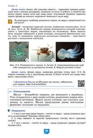 Розділ 2
174
Цікаво знати. Коралі, або коралове намисто, – традиційна прикраса україн-
ських жінок у вигляді циліндриків, нанизаних на нитку. Їх роблять зі скелетів чер-
воного корала. Кожна нитка має назву разок. Інтенсивний промисел червоного
корала призвів до значного скорочення чисельності цього виду.
Як розв’язують проблему розселення корали, які ведуть прикріплений спо-
сіб життя?
Àêòèíії – ïîîäèíîêі êîðàëîâі ïîëіïè, ïîçáàâëåíі ñêåëåòà (ìàë. 41.3.
ї
Ä, ìàë. 41.5, À, Á). Íàéáіëüøå âèäîâå ðіçíîìàíіòòÿ àêòèíіé ñïîñòåðі-
ãàþòü ó òðîïі÷íèõ ìîðÿõ, íàñàìïåðåä íà ìіëêîâîääі. Âîíè ìîæóòü
áóòè ÿñêðàâî çàáàðâëåíі â ðіçíі êîëüîðè, íàãàäóþ÷è ôàíòàñòè÷íі êâі-
òè, òîìó їõ íàçèâàþòü ìîðñüêèìè àíåìîíàìè (àíåìîíè – òðàâ’ÿíèñòі
ðîñëèíè ç âèøóêàíîþ êâіòêîþ).
А Б В
Мал. 41.5. Різноманітність жалких. А. Актинії. Б. Середземноморський краб
лібія захищається за допомогою актиній. В. Медуза ропілема їстівна
Цікаво знати. Деяких медуз, наприклад ропілему їстівну (мал. 41.5, В),
людина споживає в їжу в підсоленому вигляді. В Японії та Китаї цю страву нази-
вають «кришталеве м’ясо».
Дізнайтеся більше за QR-кодом про жалких, небезпечних
для людини. https://cutt.ly/hwSl9yol
Узагальнення
Æàëêі – áåçõðåáåòíі òâàðèíè, ùî ìåøêàþòü ó âîäîéìàõ.
Òіëî ñêëàäàєòüñÿ ç äâîõ øàðіâ êëіòèí, ðîçäіëåíèõ øàðîì ìіæ-
êëіòèííîї ðå÷îâèíè. Ìàþòü æàëêі êëіòèíè, ùî ñëóãóþòü äëÿ
íàïàäó òà çàõèñòó. Æàëêі ïðåäñòàâëåíі äâîìà æèòòєâèìè
ôîðìàìè: ïîëіïàìè òà ìåäóçàìè.
Поміркуйте
1. У якої із життєвих форм жалких – поліпів чи медуз – краще розвинена здат-
ність до регенерації? Відповідь обґрунтуйте.
2. У чому переваги та недоліки прикріпленого способу життя коралових
поліпів?
3. У кого з жалких – поліпів чи медуз – краще розвинена нервова система?
Аргументуйте.
 
