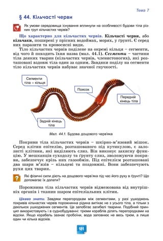 Тема 7
181
§ 44. Кільчасті черви
Як умови середовища існування вплинули на особливості будови тіла різ-
них груп кільчастих червів?
Ùî õàðàêòåðíî äëÿ êіëü÷àñòèõ ÷åðâіâ. Êіëü÷àñòі ÷åðâè, àáî
êіëü÷àêè, ïîøèðåíі ó ïðіñíèõ âîäîéìàõ, ìîðÿõ, ó ґðóíòі. Є ñåðåä
íèõ ïàðàçèòè òà êðîâîñèñíі âèäè.
Òіëî êіëü÷àñòèõ ÷åðâіâ ïîäіëåíå íà îêðåìі êіëüöÿ – ñåãìåíòè,
âіä ÷îãî é ïîõîäèòü їõíÿ íàçâà (ìàë. 44.1). Ñåãìåíòè – ÷àñòèíè
òіëà äåÿêèõ òâàðèí (êіëü÷àñòèõ ÷åðâіâ, ÷ëåíèñòîíîãèõ), ÿêі ðîç-
òàøîâàíі âçäîâæ òіëà îäèí çà îäíèì. Çàâäÿêè ïîäіëó íà ñåãìåíòè
òіëî êіëü÷àñòèõ ÷åðâіâ íàáóâàє çíà÷íîї ãíó÷êîñòі.
Передній
кінець тіла
Сегменти
тіла – кільця
Поясок
Задній кінець
тіла
Мал. 44.1. Будова дощового черв’яка
Ïîêðèâè òіëà êіëü÷àñòèõ ÷åðâіâ – øêіðíî-ì’ÿçîâèé ìіøîê.
Ñåðåä êëіòèí åïіòåëіþ, ðîçòàøîâàíîãî ïіä êóòèêóëîþ, є çàëî-
çèñòі êëіòèíè, ÿêі âèäіëÿþòü ñëèç. Âіí âèêîíóє çàõèñíó ôóíê-
öіþ. Ó ìåøêàíöіâ ñóõîäîëó òà ґðóíòó ñëèç, çâîëîæóþ÷è ïîêðè-
âè, çàáåçïå÷óє êðіçü íèõ ãàçîîáìіí. Ïіä åïіòåëієì ðîçòàøîâàíі
äâà øàðè ì’ÿçіâ – êіëüöåâі òà ïîçäîâæíі. Âîíè çàáåçïå÷óþòü
ðóõè öèõ òâàðèí.
Які фізичні сили діють на дощового черв’яка під час його руху в ґрунті? Що
допомагає їх долати?
Ïîðîæíèíà òіëà êіëü÷àñòèõ ÷åðâіâ âіäìåæîâàíà âіä âíóòðіø-
íіõ îðãàíіâ і òêàíèí øàðîì åïіòåëіàëüíèõ êëіòèí.
Цікаво знати. Завдяки перегородкам між сегментами, у разі ушкоджень
покривів кільчастих червів порожнинна рідина витікає не з усього тіла, а тільки з
декількох ушкоджених сегментів. Це запобігає загибелі тварини. Подібний прин-
цип використовують і в суднобудуванні: трюми кораблів ділять перегородками на
відсіки. Якщо корабель зазнає пробоїни, вода заповнює не весь трюм, а лише
один чи кілька відсіків.
 