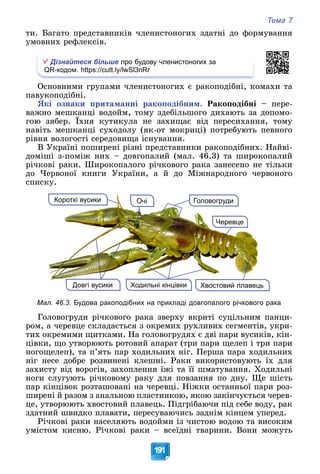 Тема 7
191
òè. Áàãàòî ïðåäñòàâíèêіâ ÷ëåíèñòîíîãèõ çäàòíі äî ôîðìóâàííÿ
óìîâíèõ ðåôëåêñіâ.
Дізнайтеся більше про будову членистоногих за
QR-кодом. https://cutt.ly/lwSl3nRr
Îñíîâíèìè ãðóïàìè ÷ëåíèñòîíîãèõ є ðàêîïîäіáíі, êîìàõè òà
ïàâóêîïîäіáíі.
ßêі îçíàêè ïðèòàìàííі ðàêîïîäіáíèì. Ðàêîïîäіáíі – ïåðå-
âàæíî ìåøêàíöі âîäîéì, òîìó çäåáіëüøîãî äèõàþòü çà äîïîìî-
ãîþ çÿáåð. Їõíÿ êóòèêóëà íå çàõèùàє âіä ïåðåñèõàííÿ, òîìó
íàâіòü ìåøêàíöі ñóõîäîëó (ÿê-îò ìîêðèöі) ïîòðåáóþòü ïåâíîãî
ðіâíÿ âîëîãîñòі ñåðåäîâèùà іñíóâàííÿ.
Â Óêðàїíі ïîøèðåíі ðіçíі ïðåäñòàâíèêè ðàêîïîäіáíèõ. Íàéâі-
äîìіøі ç-ïîìіæ íèõ – äîâãîïàëèé (ìàë. 46.3) òà øèðîêîïàëèé
ðі÷êîâі ðàêè. Øèðîêîïàëîãî ðі÷êîâîãî ðàêà çàíåñåíî íå òіëüêè
äî ×åðâîíîї êíèãè Óêðàїíè, à é äî Ìіæíàðîäíîãî ÷åðâîíîãî
ñïèñêó.
Очі
Хвостовий плавець
Х й
Черевце
Ходильні кінцівки
Довгі вусики
Головогруди
Короткі вусики
Мал. 46.3. Будова ракоподібних на прикладі довгопалого річкового рака
Ãîëîâîãðóäè ðі÷êîâîãî ðàêà çâåðõó âêðèòі ñóöіëüíèì ïàíöè-
ðîì, à ÷åðåâöå ñêëàäàєòüñÿ ç îêðåìèõ ðóõëèâèõ ñåãìåíòіâ, óêðè-
òèõ îêðåìèìè ùèòêàìè. Íà ãîëîâîãðóäÿõ є äâі ïàðè âóñèêіâ, êіí-
öіâêè, ùî óòâîðþþòü ðîòîâèé àïàðàò (òðè ïàðè ùåëåï і òðè ïàðè
íîãîùåëåï), òà ï’ÿòü ïàð õîäèëüíèõ íіã. Ïåðøà ïàðà õîäèëüíèõ
íіã íåñå äîáðå ðîçâèíåíі êëåøíі. Ðàêè âèêîðèñòîâóþòü їõ äëÿ
çàõèñòó âіä âîðîãіâ, çàõîïëåííÿ їæі òà її øìàòóâàííÿ. Õîäèëüíі
íîãè ñëóãóþòü ðі÷êîâîìó ðàêó äëÿ ïîâçàííÿ ïî äíó. Ùå øіñòü
ïàð êіíöіâîê ðîçòàøîâàíі íà ÷åðåâöі. Íіæêè îñòàííüîї ïàðè ðîç-
øèðåíі é ðàçîì ç àíàëüíîþ ïëàñòèíêîþ, ÿêîþ çàêіí÷óєòüñÿ ÷åðåâ-
öå, óòâîðþþòü õâîñòîâèé ïëàâåöü. Ïіäãðіáàþ÷è ïіä ñåáå âîäó, ðàê
çäàòíèé øâèäêî ïëàâàòè, ïåðåñóâàþ÷èñü çàäíіì êіíöåì óïåðåä.
Ðі÷êîâі ðàêè íàñåëÿþòü âîäîéìè іç ÷èñòîþ âîäîþ òà âèñîêèì
óìіñòîì êèñíþ. Ðі÷êîâі ðàêè – âñåїäíі òâàðèíè. Âîíè ìîæóòü
 