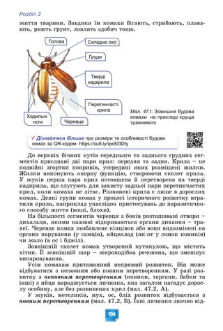 Розділ 2
194
æèòòÿ òâàðèíè. Çàâäÿêè їì êîìàõè áіãàþòü, ñòðèáàþòü, ïëàâà-
þòü, ðèþòü ґðóíò, ëîâëÿòü çäîáè÷ òîùî.
Груди
Черевце
Тверді
надкрила
Складне око
Голова
Перетинчасті
крила
Ходильні
ноги
Мал. 47.1. Зовнішня будова
комахи на прикладі хруща
травневого
Дізнайтеся більше про розміри та особливості будови
комах за QR-кодом. https://cutt.ly/qwSl3Dty
Äî âåðõíіõ áі÷íèõ êóòіâ ñåðåäíüîãî òà çàäíüîãî ãðóäíèõ ñåã-
ìåíòіâ ïðèєäíàíі äâі ïàðè êðèë: ïåðåäíÿ òà çàäíÿ. Êðèëà – öå
ïîäâіéíі çãîðòêè ïîêðèâіâ, óñåðåäèíі ÿêèõ ðîçìіùåíі æèëêè.
Æèëêè âèêîíóþòü îïîðíó ôóíêöіþ, ñòâîðþþ÷è ñêåëåò êðèëà.
Ó æóêіâ ïåðøà ïàðà êðèë ïîòîâùåíà é ïåðåòâîðåíà íà òâåðäі
íàäêðèëà, ùî ñëóãóþòü äëÿ çàõèñòó çàäíüîї ïàðè ïåðåòèí÷àñòèõ
êðèë, êîëè êîìàõà íå ëіòàє. Ðîçâèíåíі êðèëà є ëèøå â äîðîñëèõ
êîìàõ. Äåÿêі ãðóïè êîìàõ ó ïðîöåñі іñòîðè÷íîãî ðîçâèòêó âòðà-
òèëè êðèëà, íàïðèêëàä óíàñëіäîê ïðèñòîñóâàíü äî ïàðàçèòè÷íî-
ãî ñïîñîáó æèòòÿ (âîøі, áëîõè).
Íà áіëüøîñòі ñåãìåíòіâ ÷åðåâöÿ ç áîêіâ ðîçòàøîâàíі îòâîðè –
äèõàëüöÿ, ÿêèìè íàçîâíі âіäêðèâàþòüñÿ îðãàíè äèõàííÿ – òðà-
õåї. ×åðåâöå êîìàõ ïîçáàâëåíå êіíöіâîê àáî âîíè âèäîçìіíåíі íà
îðãàíè ïàðóâàííÿ (ó ñàìöіâ), ÿéöåêëàä (ÿê-îò ó ñàìîê êîíèêіâ)
÷è æàëî (â îñ і áäæіë).
Çîâíіøíіé ñêåëåò êîìàõ óòâîðåíèé êóòèêóëîþ, ùî ìіñòèòü
õіòèí. Її çîâíіøíіé øàð – æèðîïîäіáíà ðå÷îâèíà, ùî çìåíøóє
âèïàðîâóâàííÿ.
Óñіì êîìàõàì ïðèòàìàííèé íåïðÿìèé ðîçâèòîê. Âіí ìîæå
âіäáóâàòèñÿ ç íåïîâíèì àáî ïîâíèì ïåðåòâîðåííÿì. Ó ðàçі ðîç-
âèòêó ç íåïîâíèì ïåðåòâîðåííÿì (êîíèêè, òàðãàíè, áàáêè òà
іíøі) ç ÿéöÿ íàðîäæóєòüñÿ ëè÷èíêà, ÿêà çàãàëîì íàãàäóє äîðîñ-
ëó îñîáèíó, àëå áåç ðîçâèíåíèõ êðèë (ìàë. 47.2, À).
Ó æóêіâ, ìåòåëèêіâ, ìóõ, îñ, áëіõ ðîçâèòîê âіäáóâàєòüñÿ ç
ïîâíèì ïåðåòâîðåííÿì (ìàë. 47.2, Á). Їõíі ëè÷èíêè çíà÷íî âіä-
 