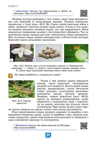 Розділ 2
200
Дізнайтеся більше про бджільництво в Україні за
QR-кодом. https://cutt.ly/SwKNrBzP
Ëþäèíà øòó÷íî ðîçâîäèòü і òèõ êîìàõ, ÿêèõ âîíà âèêîðèñòî-
âóє äëÿ áîðîòüáè çі øêіäëèâèìè âèäàìè. Òàêèìè êîìàõàìè,
íàïðèêëàä, є їçäöі (ìàë. 48.2, Á). Ñàìêà їçäöіâ âіäêëàäàє ÿéöÿ â
ÿéöÿ, ëè÷èíêè і ëÿëå÷êè ðіçíèõ âèäіâ êîìàõ. Ç ÿєöü ó òіëі êîìà-
õè-õàçÿїíà âèõîäÿòü ëè÷èíêè їçäöіâ, ÿêі òàì ïàðàçèòóþòü. Âîíè
æèâëÿòüñÿ òêàíèíàìè õàçÿїíà і ïîñòóïîâî éîãî âáèâàþòü. Òàê çà
äîïîìîãîþ їçäöіâ ëþäèíà ðåãóëþє ÷èñåëüíіñòü êîìàõ-øêіäíèêіâ.
Öèõ òà іíøèõ êîìàõ ëþäèíà âèêîðèñòîâóє â áіîëîãі÷íèõ ìåòîäàõ
áîðîòüáè ïðîòè øêіäëèâèõ îðãàíіçìіâ.
Б
1 2
А
Мал. 48.2. Комахи, яких штучно розводить людина. А. Шовковичний
шовкопряд: 1 – самка; 2 – кокони, з яких людина отримує шовкову нитку.
Б. Самка їздця-трихограми відкладає яйця в яйце іншої комахи
Які товари виробляють з натурального шовку?
Ðàçîì ç òèì êîìàõè çäàòíі çàâäàâàòè
øêîäè, ÷àñòî âіä÷óòíîї, ãîñïîäàðñòâó
ëþäèíè òà її çäîðîâ’þ. Áàãàòî âèäіâ êîìàõ
(æóêіâ, ïðÿìîêðèëèõ, ãóñåíі ìåòåëèêіâ
òîùî) øêîäÿòü êóëüòóðíèì ðîñëèíàì,
çíèùóþ÷è çíà÷íó ÷àñòèíó âðîæàþ.
Çîêðåìà, ñàðàíà ïåðåëіòíà (ìàë. 48.3),
çäàòíà äî ìàñîâîãî ðîçìíîæåííÿ, ìîæå
çáèðàòèñÿ ó âåëåòåíñüêі çãðàї і ïåðåëіòà-
òè íà äàëåêó âіäñòàíü (äî êіëüêîõ òèñÿ÷
êіëîìåòðіâ). Ïðè öüîìó âåëèêі çãðàї ñàðà-
íè çäàòíі âèїäàòè íà ñâîєìó øëÿõó âñþ çåëåíó ðîñëèííіñòü.
Ðіçíі ïðåäñòàâíèêè êîìàõ øêîäÿòü äåðåâèíі òà âèðîáàì ç íåї,
âîâíÿíèì òêàíèíàì, øêіðі, õóòðó òà âèðîáàì ç íèõ, çàïàñàì õàð-
÷îâèõ ïðîäóêòіâ, çäàòíі ïîðóøóâàòè åêñïëóàòàöіþ òà âèâîäèòè ç
ëàäó åëåêòðè÷íі ïðèëàäè òà åëåêòðîíіêó.
Дізнайтеся більше про комах-шкідників за QR-кодом.
https://cutt.ly/vwSl3N9n
Мал. 48.3. Сарана
перелітна
 