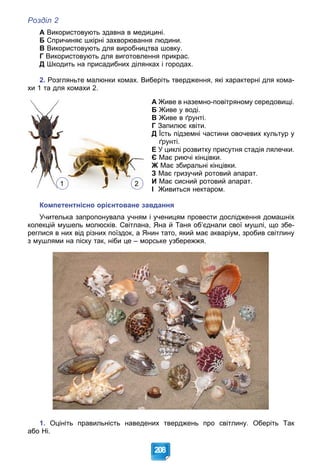 Розділ 2
208
А Використовують здавна в медицині.
Б Спричиняє шкірні захворювання людини.
В Використовують для виробництва шовку.
Г Використовують для виготовлення прикрас.
Д Шкодить на присадибних ділянках і городах.
2. Розгляньте малюнки комах. Виберіть твердження, які характерні для кома-
хи 1 та для комахи 2.
А Живе в наземно-повітряному середовищі.
Б Живе у воді.
В Живе в ґрунті.
Г Запилює квіти.
Д Їсть підземні частини овочевих культур у
ґрунті.
Е У циклі розвитку присутня стадія лялечки.
Є Має риючі кінцівки.
Ж Має збиральні кінцівки.
З Має гризучий ротовий апарат.
И Має сисний ротовий апарат.
І Живиться нектаром.
Компетентнісно орієнтоване завдання
Учителька запропонувала учням і ученицям провести дослідження домашніх
колекцій мушель молюсків. Світлана, Яна й Таня об’єднали свої мушлі, що збе-
реглися в них від різних поїздок, а Янин тато, який має акваріум, зробив світлину
з мушлями на піску так, ніби це – морське узбережжя.
1. Оцініть правильність наведених тверджень про світлину. Оберіть Так
або Ні.
1 2
 