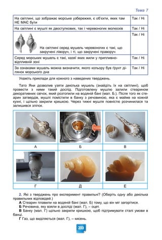 Тема 7
209
На світлині, що зображає морське узбережжя, є об’єкти, яких там
НЕ МАЄ бути
Так / Ні
На світлині є мушлі як двостулкових, так і черевоногих молюсків Так / Ні
На світлині серед мушель черевоногих є такі, що
закручені ліворуч, і ті, що закручені праворуч
Так / Ні
Серед морських мушель є такі, хазяї яких жили у припливно-
відпливній зоні
Так / Ні
За ознаками мушель можна визначити, якого кольору був ґрунт ді-
лянок морського дна
Так / Ні
Укажіть приклади для кожного з наведених тверджень.
Тато Яни дозволив узяти декілька мушель (знайдіть їх на світлині), щоб
провести з ними такий дослід. Підготовлену мушлю залили стеарином
декоративних свічок, який розтопили на водяній бані (мал. Б.). Після того як сте-
арин затвердів, мушлі помістили в банку з речовиною, яка є майже на кожній
кухні, і щільно закрили кришкою. Через тижні мушля повністю розчинилася та
залишився зліпок.
А Б В
Г Д Е
2. Які з тверджень про експеримент правильні? (Оберіть одну або декілька
правильних відповідей.)
А Стеарин плавили на водяній бані (мал. Б) тому, що він міг загорітися.
Б Речовина, яку взяли в досліді (мал. Г), – оцет.
В Банку (мал. Г) щільно закрили кришкою, щоб підтримувати сталі умови в
банці.
Г Газ, що виділяється (мал. Г), – кисень.
 