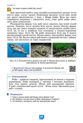 Розділ 2
214
Чи може існувати риба без луски?
Äëÿ îðієíòàöії ðèáè ó âîäі ïîòðіáíі ðіçíîìàíіòíі îðãàíè ÷óòòÿ
(ÿê-îò çîðó, ñëóõó, íþõó). Îñîáëèâèì îðãàíîì ÷óòòÿ ðèá, ÿêèé
äàє çìîãó îðієíòóâàòèñü ó âîäі, є áі÷íà ëіíіÿ. Âîíà äàє çìîãó
ñïðèéìàòè íàïðÿìîê і øâèäêіñòü òå÷ії, òîìó ðèáè äîáðå îáõî-
äÿòü ðіçíі ïåðåøêîäè.
Ðіçíîìàíіòíà ôîðìà òіëà ðèá ÷àñòî ñâіä÷èòü ïðî їõíіé ñïîñіá
æèòòÿ. Õèæàêè, ÿê-îò âåëèêà áіëà àêóëà, ìàþòü îáòі÷íó ôîðìó
òіëà, ùî äàє çìîãó øâèäêî ïëàâàòè òà íàçäîãàíÿòè çäîáè÷ (ìàë.
51.3, À). À îñü ó êàìáàëè òіëî ñïëîùåíå ó ñïèííî-÷åðåâíîìó
íàïðÿìêó (ìàë. 51.3, Á). Öі ðèáè ìåøêàþòü áіëÿ äíà é âåäóòü
ìàëîðóõîìèé ñïîñіá æèòòÿ. Âóãðè ìàþòü çìієïîäіáíó ôîðìó òіëà
(ìàë. 51.3, Â). Áàãàòî âèäіâ ðèá ìàþòü õèìåðíèé âèãëÿä і çàáàðâ-
ëåííÿ, ÿêі ìàñêóþòü їõ ñåðåä âîäîðîñòåé.
А Б В
Мал. 51.3. Різноманітність форми тіла риб. А. Велика біла акула. Б. Камбала
європейська. В. Вугор європейський
Дізнайтеся більше про розміри та внутрішню будову риб
за QR-кодом. https://cutt.ly/rwSl8cXl
Узагальнення
Ðèáè – õðåáåòíі òâàðèíè, ïðèñòîñîâàíі äî æèòòÿ ó âîäíîìó
ñåðåäîâèùі. Ðèáè ïîøèðåíі ó ïðіñíèõ і ñîëîíèõ âîäîéìàõ.
Їõíє òіëî âêðèòå ëóñêîþ. Ìîçîê ðèá çàõèùåíèé ÷åðåïîì.
Ó ðèá є ñïåöіàëüíèé îðãàí ÷óòòÿ – áі÷íà ëіíіÿ. Îðãàíàìè ðóõó
ðèá є ïëàâöі.
Поміркуйте
1. Чому в різних видів риб буває різна форма тіла?
2. Яка форма тіла дає змогу рибам найшвидше плавати?
3. Чи залежить активність риб від температури води?
 