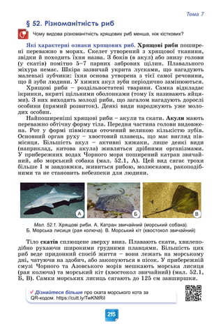 Тема 7
215
§ 52. Різноманітність риб
Чому видова різноманітність хрящових риб менша, ніж кісткових?
ßêі õàðàêòåðíі îçíàêè õðÿùîâèõ ðèá. Õðÿùîâі ðèáè ïîøèðå-
íі ïåðåâàæíî â ìîðÿõ. Ñêåëåò óòâîðåíèé ç õðÿùîâîї òêàíèíè,
çâіäêè é ïîõîäèòü їõíÿ íàçâà. Ç áîêіâ (â àêóë) àáî çíèçó ãîëîâè
(ó ñêàòіâ) ïîìіòíî 5–7 ïàðíèõ çÿáðîâèõ ùіëèí. Ïëàâàëüíîãî
ìіõóðà íåìàє. Øêіðà çàçâè÷àé óêðèòà ëóñêàìè, ùî íàãàäóþòü
ìàëåíüêі çóá÷èêè: їõíÿ îñíîâà óòâîðåíà ç òієї ñàìîї ðå÷îâèíè,
ùî é çóáè ëþäèíè. Ó õèæèõ àêóë çóáè ïåðіîäè÷íî çàìіíþþòüñÿ.
Õðÿùîâі ðèáè – ðîçäіëüíîñòàòåâі òâàðèíè. Ñàìêà âіäêëàäàє
іêðèíêè, âêðèòі ùіëüíèìè îáîëîíêàìè (òîìó їõ íàçèâàþòü ÿéöÿ-
ìè). Ç íèõ âèõîäÿòü ìîëîäі ðèáè, ùî çàãàëîì íàãàäóþòü äîðîñëі
îñîáèíè (ïðÿìèé ðîçâèòîê). Äåÿêі âèäè íàðîäæóþòü óæå ìîëî-
äèõ îñîáèí.
Íàéïîøèðåíіøі õðÿùîâі ðèáè – àêóëè òà ñêàòè. Àêóëè ìàþòü
ïåðåâàæíî îáòі÷íó ôîðìó òіëà. Ïåðåäíÿ ÷àñòèíà ãîëîâè âèäîâæå-
íà. Ðîò ó ôîðìі ïіâìіñÿöÿ îòî÷åíèé âåëèêîþ êіëüêіñòþ çóáіâ.
Îñíîâíèé îðãàí ðóõó – õâîñòîâèé ïëàâåöü, ùî ìàє âèãëÿä ïіâ-
ìіñÿöÿ. Áіëüøіñòü àêóë – àêòèâíі õèæàêè, ëèøå äåÿêі âèäè
(íàïðèêëàä, êèòîâà àêóëà) æèâëÿòüñÿ äðіáíèìè îðãàíіçìàìè.
Ó ïðèáåðåæíèõ âîäàõ ×îðíîãî ìîðÿ ïîøèðåíèé êàòðàí çâè÷àé-
íèé, àáî ìîðñüêèé ñîáàêà (ìàë. 52.1, À). Öåé âèä ñÿãàє òðîõè
áіëüøå 1 ì çàâäîâæêè, æèâèòüñÿ ðèáîþ, ìîëþñêàìè, ðàêîïîäіá-
íèìè òà íå ñòàíîâèòü íåáåçïåêè äëÿ ëþäèíè.
А Б В
Мал. 52.1. Хрящові риби. А. Катран звичайний (морський собака).
Б. Морська лисиця (рая колюча). В. Морський кіт (хвостокол звичайний)
Òіëî ñêàòіâ ñïëþùåíå çâåðõó âíèç. Ïëàâàþòü ñêàòè, õâèëåïî-
äіáíî ðóõàþ÷è øèðîêèìè ãðóäíèìè ïëàâöÿìè. Áіëüøіñòü öèõ
ðèá âåäå ïðèäîííèé ñïîñіá æèòòÿ – âîíè ëåæàòü íà ìîðñüêîìó
äíі, ÷àòóþ÷è íà çäîáè÷, àáî çàêîïóþòüñÿ â ïіñîê. Ó ïðèáåðåæíіé
ñìóçі ×îðíîãî òà Àçîâñüêîãî ìîðіâ ìåøêàþòü ìîðñüêà ëèñèöÿ
(ðàÿ êîëþ÷à) òà ìîðñüêèé êіò (õâîñòîêîë çâè÷àéíèé) (ìàë. 52.1,
Á, Â). Ñàìêè ìîðñüêèõ ëèñèöü ñÿãàþòü äî 125 ñì çàâøèðøêè.
Дізнайтеся більше про ската морського кота за
QR-кодом. https://cutt.ly/TwKNtRiI
 