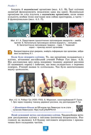 Розділ 1
18
Іñíóþòü é êîëîíіàëüíі îðãàíіçìè (ìàë. 4.1. Á). Їõíі êëіòèíè
çàçâè÷àé ôóíêöіîíóþòü íåçàëåæíî îäíà âіä îäíîї. Êîëîíіàëüíі
îðãàíіçìè íå ñëіä ïëóòàòè ç êîëîíіÿìè îðãàíіçìіâ, êîëè ïåâíà
êіëüêіñòü îñîáèí òіñíî ïîâ’ÿçàíі ìіæ ñîáîþ ïðîñòîðîâî, à ÷àñòî –
é ôóíêöіîíàëüíî (ìàë. 4.1. Ã).
Мал. 4.1. А. Представник одноклітинних прісноводних евкаріотів – амеба
протей. Б. Колоніальна прісноводна зелена водорість – вольвокс.
В. Багатоклітинна прісноводна тварина – гідра. Г. Червоний
корал – приклад колонії організмів
Використовуючи різні джерела, знайдіть інформацію про організми, зобра-
жені на малюнку 4.1.
Êîëè áóëî âіäêðèòî êëіòèíó. Òå, ùî îðãàíіçìè ñêëàäàþòüñÿ ç
êëіòèí, âñòàíîâèâ àíãëіéñüêèé ó÷åíèé Ðîáåðò Ãóê (ìàë. 4.2).
Âіí äîñëіäæóâàâ çðіç êðіçü ïîêðèâíó òêàíèíó äåðåâíîї ðîñëèíè
(її íàçèâàþòü êîðîê) і ïîáà÷èâ, ùî âîíà ñêëàäàєòüñÿ ç îêðåìèõ
êîìіðîê. Ó÷åíèé íàçâàâ їõ êëіòèíàìè. Òàê áóëî çàïî÷àòêîâàíî
íàóêó öèòîëîãіþ.
Мал. 4.2. А. Роберт Гук (1635–1703). Б. Мікроскоп, сконструйований Р. Гуком.
1. Зріз через покривну тканину деревної рослини, яку досліджував Р. Гук
Дізнайтеся більше за QR-кодом про Левенгука та як стати
сучасним Левенгуком. https://cutt.ly/8wRPKmVt
ßêèé îñíîâíèé ìåòîä äîñëіäæåííÿ êëіòèí. Òðàäèöіéíèì ìåòî-
äîì äîñëіäæåííÿ êëіòèí є ñâіòëîâà (îïòè÷íà) ìіêðîñêîïіÿ. Ðîç-
ãëÿíüòå íà ìàëþíêó 4.3 áóäîâó ñâіòëîâîãî ìіêðîñêîïà і ïðèçíà-
÷åííÿ éîãî ñêëàäîâèõ ÷àñòèí.
В
А Г
Б
А Б
1
 
