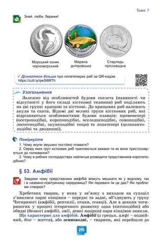 Тема 7
219
Знай, люби, бережи!
Морський коник
чорноморський
Марена
дніпровська
Стерлядь
прісноводна
Дізнайтеся більше про лопатеперих риб за QR-кодом.
https://cutt.ly/qwSl8RTh
Узагальнення
Çàëåæíî âіä îñîáëèâîñòåé áóäîâè ñêåëåòà (íàÿâíîñòі ÷è
âіäñóòíîñòі ó éîãî ñêëàäі êіñòêîâîї òêàíèíè) ðèá ïîäіëÿþòü
íà äâі ãðóïè: õðÿùîâі òà êіñòêîâі. Äî õðÿùîâèõ ðèá íàëåæàòü
àêóëè òà ñêàòè. Âіäîìі äâі âåëèêі ãðóïè êіñòêîâèõ ðèá, ÿêі
âіäðіçíÿþòüñÿ îñîáëèâîñòÿìè áóäîâè ïëàâöіâ: ïðîìåíåïåðі
(îñåòðîïîäіáíі, êîðîïîïîäіáíі, îñåëåäöåïîäіáíі, ñîìîïîäіáíі,
ëîñîñåïîäіáíі, îêóíåïîäіáíі òîùî) òà ëîïàòåïåðі (öåëàêàíòî-
ïîäіáíі òà äâîäèøíі).
Поміркуйте
1. Чому акули змушені постійно плавати?
2. Серед яких груп кісткових риб трапляються хижаки та як вони пристосову-
ються до полювання?
3. Чому в рибних господарствах найлегше розводити представників коропопо-
дібних?
§ 53. Амфібії
Завдяки чому представники амфібій можуть мешкати як у водному, так
і в наземно-повітряному середовищі? Які переваги їм це дає? Які пробле-
ми створює?
Õðåáåòíèõ òâàðèí, ó ÿêèõ ó çâ’ÿçêó ç âèõîäîì íà ñóõîäіë
ç’ÿâèëèñÿ ïàðíі êіíöіâêè – ïåðåäíі òà çàäíі, îá’єäíóþòü ó ãðóïó
×îòèðèíîãі (àìôіáії, ðåïòèëії, ïòàõè, ññàâöі). Àëå â äåÿêèõ ÷îòè-
ðèíîãèõ ó ïðîöåñі іñòîðè÷íîãî ðîçâèòêó îäíà (êèòîïîäіáíі) àáî
îáèäâі (áåçíîãі àìôіáії, çìії, äåÿêі ÿùіðêè) ïàðè êіíöіâîê çíèêëè.
Ùî õàðàêòåðíî äëÿ àìôіáіé. Àìôіáії (ç ãðåöüê.
ї àìôі – ïîäâіé-
íèé, áіîñ – æèòòÿ), àáî çåìíîâîäíі, – òâàðèíè, ÿêі ïåðåéøëè äî
 
