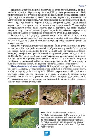 Тема 7
221
Äèõàþòü äîðîñëі àìôіáії çàçâè÷àé çà äîïîìîãîþ ëåãåíü, ëè÷èí-
êè ìàþòü çÿáðà. Îðãàíè ÷óòòÿ àìôіáіé äîñèòü ðіçíîìàíіòíі. Î÷і,
ïðèñòîñîâàíі äî ôóíêöіîíóâàííÿ â íàçåìíîìó ñåðåäîâèùі, çàõè-
ùåíі âіä ïåðåñèõàííÿ òðüîìà ïîâіêàìè: âåðõíüîþ, íèæíüîþ òà
ìèãîòëèâîþ ïåðåòèíêîþ. Àëå ñïðèéìàþòü âîíè íàñàìïåðåä ïðåä-
ìåòè, ùî ðóõàþòüñÿ. Îðãàíè ñëóõó àìôіáіé çäàòíі ñïðèéìàòè
çâóêè, ÿêі ïîøèðþþòüñÿ â íàçåìíîìó ñåðåäîâèùі. Òîìó, êðіì
âíóòðіøíüîãî âóõà, âîíè ìàþòü ùå é ñåðåäíє. Äî éîãî ñêëàäó
âõîäèòü ñëóõîâà êіñòî÷êà (ñòðåìіíöå) é áàðàáàííà ïåðåòèíêà,
ÿêà âіäîêðåìëþє ïîðîæíèíó ñåðåäíüîãî âóõà âіä äîâêіëëÿ.
Â àìôіáіé, ÿê і ó ðèá, òðàïëÿєòüñÿ áі÷íà ëіíіÿ. Ó æàá âîíà
ðîçâèíåíà ëèøå íà ñòàäії ëè÷èíêè, à ó âèäіâ, ÿêі ïîñòіéíî ìåø-
êàþòü ó âîäîéìàõ (äåÿêі õâîñòàòі àìôіáії), çáåðіãàєòüñÿ ïðîòÿãîì
óñüîãî æèòòÿ.
Àìôіáії – ðîçäіëüíîñòàòåâі òâàðèíè. Їõíє ðîçìíîæåííÿ òà ðîç-
âèòîê, ïîäіáíî äî ðèá, çàçâè÷àé âіäáóâàþòüñÿ ó âîäі. Çàïëіäíåí-
íÿ ìîæå áóòè çîâíіøíіì (ÿê-îò ó æàá) àáî âíóòðіøíіì (ñàëà-
ìàíäðè). Àìôіáіÿì ïðèòàìàííèé íåïðÿìèé ðîçâèòîê (äèâ. ìàë.
37.3, Á). Ëè÷èíêà æàá ìàє íàçâó ïóãîëîâîê. Ñïî÷àòêó âîíà ñõî-
æà íà ëè÷èíêó ðèáè: ìàє äîâãèé õâіñò. Ó õâîñòàòèõ àìôіáіé
(îñîáëèâî â ëè÷èíîê) äîáðå âèðàæåíà ðåãåíåðàöіÿ. Ó íèõ ìîæóòü
âіäíîâëþâàòèñÿ õâіñò, êіíöіâêè, êèøêà, ëåãåíі, î÷і òîùî.
ßêà ðіçíîìàíіòíіñòü àìôіáіé. Â Óêðàїíі ïîøèðåíі áåçõâîñòі òà
õâîñòàòі àìôіáії. Ñåðåä áåçõâîñòèõ àìôіáіé â Óêðàїíі ìåøêàþòü
æàáè, ðîïóõè, ðàéêè òà êóìêè. Æàáà îçåðíà (ìàë. 53.1) áіëüøó
÷àñòèíó ñâîãî æèòòÿ ïðîâîäèòü ó âîäі, à ÿêùî é âèõîäèòü íà
ñóõîäіë, òî ëèøå íà êîðîòêèé ÷àñ. Æàáà ãîñòðîìîðäà (ìàë. 53.3,
À), íàâïàêè, âëіòêó ìåøêàє íà ñóõîäîëі é ëèøå ïåðіîä ðîçìíî-
æåííÿ ïðîâîäèòü ó âîäîéìі.
А Б В
Г
Мал. 53.3. Різноманітність амфібій.
А. Жаба гостроморда. Б. Ропуха очеретяна;
вид занесено до Червоної книги України
та Міжнародної червоної книги хребетних.
В. Райка деревна; вид занесено до Міжна-
родної червоної книги хребетних. Г. Тритон
гребінчастий
 