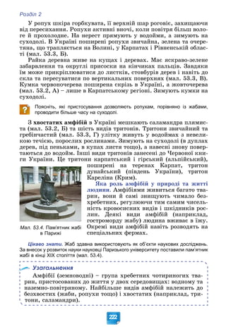 Розділ 2
222
Ó ðîïóõ øêіðà ãîðáêóâàòà, її âåðõíіé øàð ðîãîâіє, çàõèùàþ÷è
âіä ïåðåñèõàííÿ. Ðîïóõè àêòèâíі âíî÷і, êîëè ïîâіòðÿ áіëüø âîëî-
ãå é ïðîõîëîäíå. Íà íåðåñò ïðÿìóþòü ó âîäîéìè, à çèìóþòü íà
ñóõîäîëі. Â Óêðàїíі ïîøèðåíі ðîïóõè çâè÷àéíà, çåëåíà òà î÷åðå-
òÿíà, ùî òðàïëÿєòüñÿ íà Âîëèíі, ó Êàðïàòàõ і Ðіâíåíñüêіé îáëàñ-
òі (ìàë. 53.3, Á).
Ðàéêà äåðåâíà æèâå íà êóùàõ і äåðåâàõ. Ìàє ÿñêðàâî-çåëåíå
çàáàðâëåííÿ òà îêðóãëі ïðèñîñêè íà êіí÷èêàõ ïàëüöіâ. Çàâäÿêè
їì ìîæå ïðèêðіïëþâàòèñÿ äî ëèñòêіâ, ñòîâáóðіâ äåðåâ і íàâіòü äî
ñêëà òà ïåðåñóâàòèñÿ ïî âåðòèêàëüíèõ ïîâåðõíÿõ (ìàë. 53.3, Â).
Êóìêà ÷åðâîíî÷åðåâà ïîøèðåíà ñêðіçü â Óêðàїíі, à æîâòî÷åðåâà
(ìàë. 53.2, À) – ëèøå â Êàðïàòñüêîìó ðåãіîíі. Çèìóþòü êóìêè íà
ñóõîäîëі.
Поясніть, які пристосування дозволяють ропухам, порівняно із жабами,
проводити більше часу на суходолі.
Ç õâîñòàòèõ àìôіáіé â Óêðàїíі ìåøêàþòü ñàëàìàíäðà ïëÿìèñ-
òà (ìàë. 53.2, Á) òà øіñòü âèäіâ òðèòîíіâ. Òðèòîíè çâè÷àéíèé òà
ãðåáіí÷àñòèé (ìàë. 53.3, Ã) óëіòêó æèâóòü ó âîäîéìàõ ç íåâåëè-
êîþ òå÷ієþ, ïîðîñëèõ ðîñëèíàìè. Çèìóþòü íà ñóõîäîëі (â äóïëàõ
äåðåâ, ïіä ïåíüêàìè, â êóïàõ ëèñòÿ òîùî), à íàâåñíі çíîâó ïîâåð-
òàþòüñÿ äî âîäîéì. Іíøі âèäè òðèòîíіâ çàíåñåíі äî ×åðâîíîї êíè-
ãè Óêðàїíè. Öå òðèòîíè êàðïàòñüêèé і ãіðñüêèé (àëüïіéñüêèé),
ïîøèðåíі íà òåðåíàõ Êàðïàò, òðèòîí
äóíàéñüêèé (ïіâäåíü Óêðàїíè), òðèòîí
Êàðåëіíà (Êðèì).
ßêà ðîëü àìôіáіé ó ïðèðîäі òà æèòòі
ëþäèíè. Àìôіáіÿìè æèâèòüñÿ áàãàòî òâà-
ðèí, âîíè é ñàìі çíèùóþòü ÷èìàëî áåç-
õðåáåòíèõ, ðåãóëþþ÷è òèì ñàìèì ÷èñåëü-
íіñòü êðîâîñèñíèõ âèäіâ і øêіäíèêіâ ðîñ-
ëèí. Äåÿêі âèäè àìôіáіé (íàïðèêëàä,
ãîñòðîìîðäó æàáó) ëþäèíà âæèâàє â їæó.
Îêðåìі âèäè àìôіáіé íàâіòü ðîçâîäÿòü íà
ñïåöіàëüíèõ ôåðìàõ.
Цікаво знати. Жаб здавна використовують як об’єкти наукових досліджень.
За внесок у розвиток науки науковці Паризького університету поставили пам’ятник
жабі в кінці ХІХ століття (мал. 53.4).
Узагальнення
Àìôіáії (çåìíîâîäíі) – ãðóïà õðåáåòíèõ ÷îòèðèíîãèõ òâà-
ðèí, ïðèñòîñîâàíèõ äî æèòòÿ ó äâîõ ñåðåäîâèùàõ: âîäíîìó òà
íàçåìíî-ïîâіòðÿíîìó. Íàéáіëüøå âèäіâ àìôіáіé íàëåæèòü äî
áåçõâîñòèõ (æàáè, ðîïóõè òîùî) і õâîñòàòèõ (íàïðèêëàä, òðè-
òîíè, ñàëàìàíäðè).
Мал. 53.4. Пам’ятник жабі
в Парижі
 